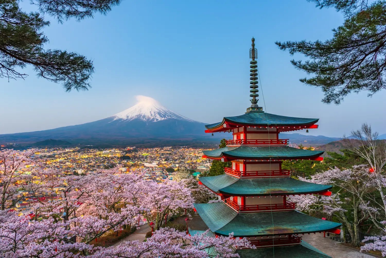 Voyage au Japon sur-mesure depuis Albi : l'itinéraire personnalisé pour une première fois inoubliable