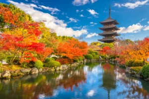 Voyage au Japon sur-mesure depuis Rodez